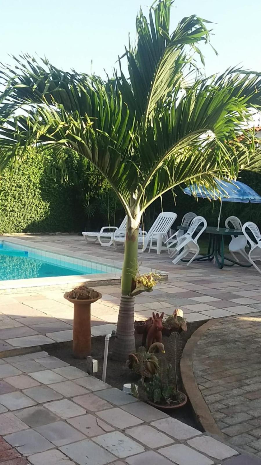 Pousada Dos Cajueiros Paripueira Exteriör bild